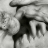 Jonathan Davies Art